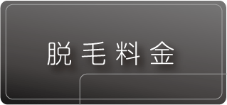 脱毛料金へのリンク