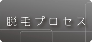 脱毛プロセスへのリンク